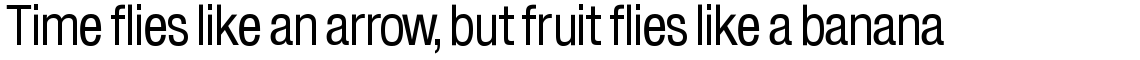 Europa Grotesk No. 2 SH Roman Condensed