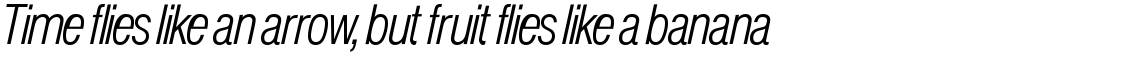 Europa Grotesk SH Light Condensed Italic