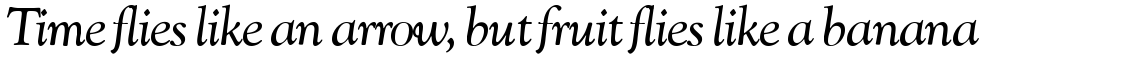 Goudy Catalogue SH Regular Italic