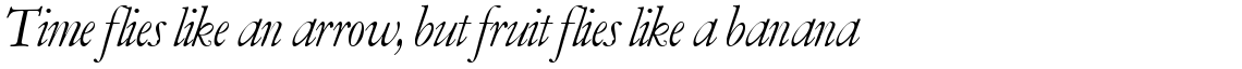 SG Garamont Amsterdam SH Roman Italic