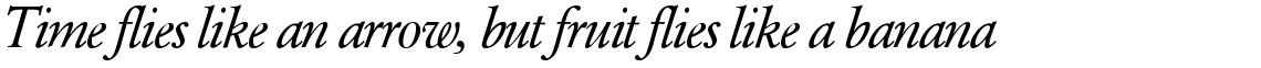 SG Garamond No. 2 SH Book Italic