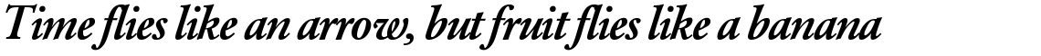 SG Garamond No. 2 SH Medium Italic