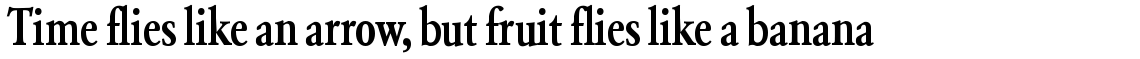 SG Garamond No. 2 SH Medium Condensed