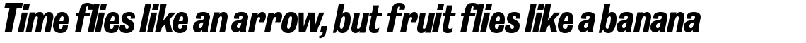 Grotesk No. 9 SH Bold Condensed Italic
