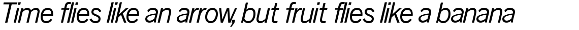 News Gothic SH Roman Italic