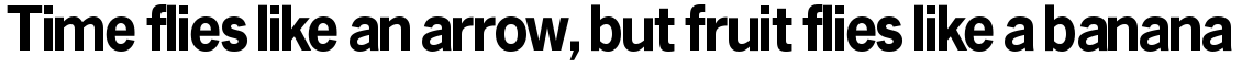 News Gothic SH Bold