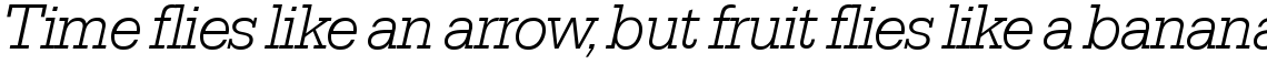 Serifa SH Light Italic