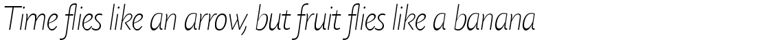 Today Sans Serif SH Extra Light Italic