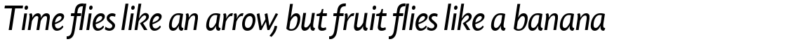 Today Sans Serif SH Regular Italic