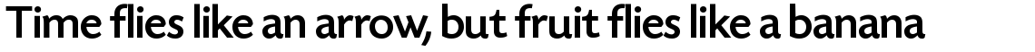 Today Sans Serif SH Medium