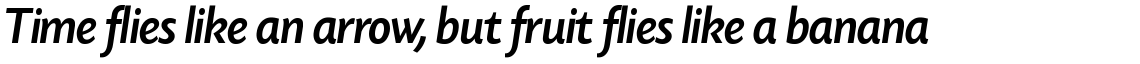 Today Sans Serif SH Medium Italic