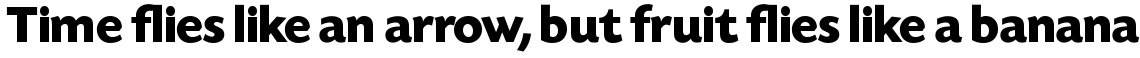 Today Sans Serif SH Bold