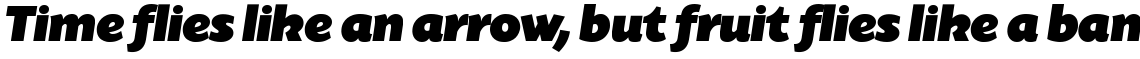 Today Sans Serif SH Ultra Italic