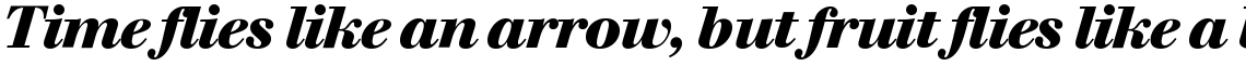 SG Walbaum SH Bold Italic