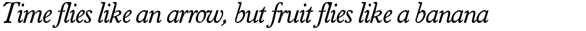 Worchester Round SH Roman Italic