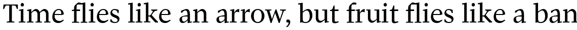 Pratt Nova Text Family Set