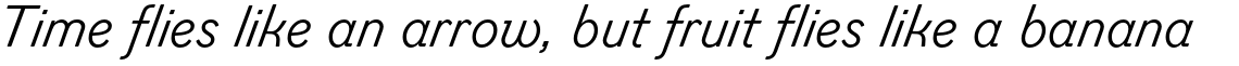 Figgins Sans Regular Italic