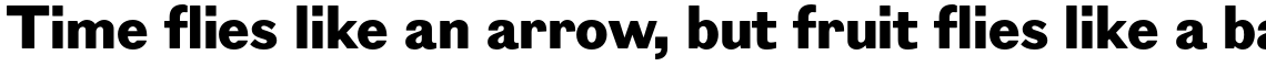 Figgins Sans ExtraBold
