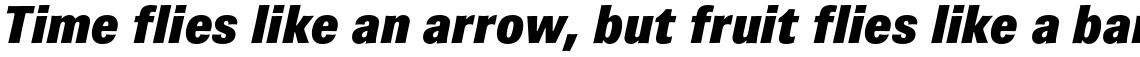 Brown Pro Black Italic