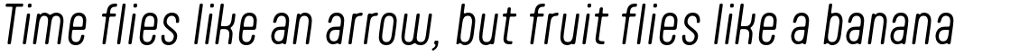 Aptly Light Italic