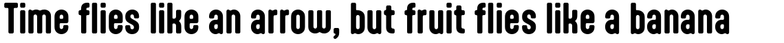 Aptly Bold