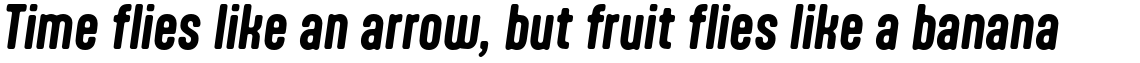 Aptly Bold Italic