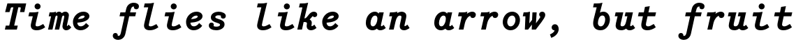 Bodoni Egyptian Mono Bold Italic