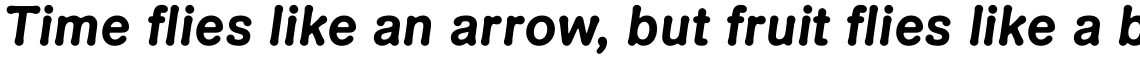 Shinn Gothic Bold Italic