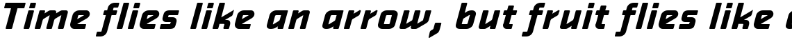 Alphaville Bold Oblique