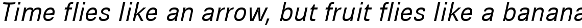 Brown Light Italic