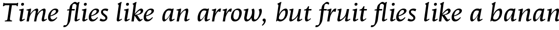 Goodchild Italic