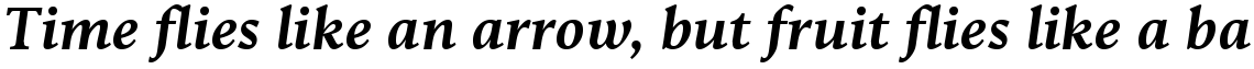 Goodchild Bold Italic