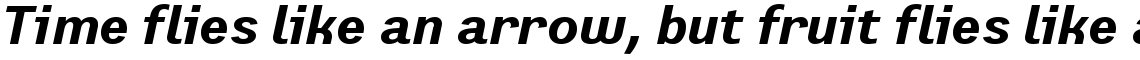 Preface Bold Italic