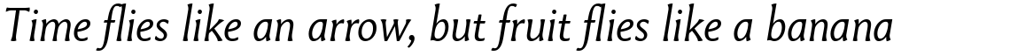 Paradigm Light Italic