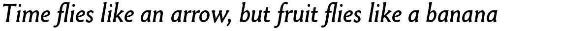 Paradigm Italic