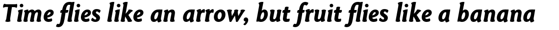 Paradigm PRO Bold Italic