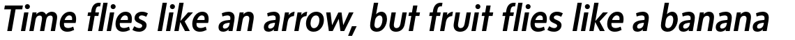 Sense Medium Italic