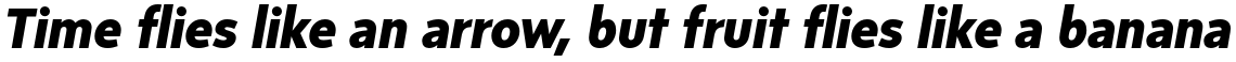 Sense Extra Bold Italic