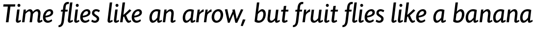 Sensibility Regular Italic