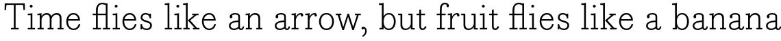 Bodoni Egyptian Pro Light