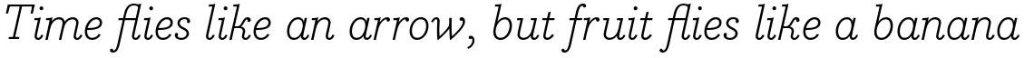 Bodoni Egyptian Pro Light Italic