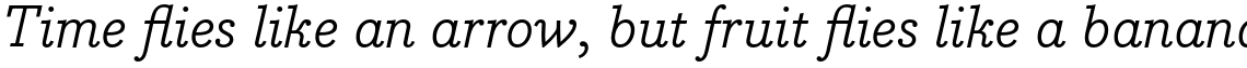 Bodoni Egyptian Pro Italic