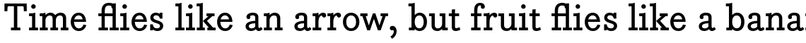 Bodoni Egyptian Pro Medium