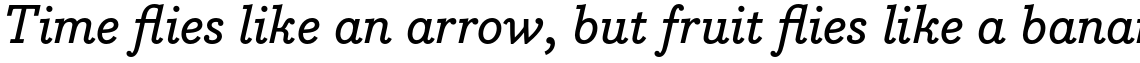 Bodoni Egyptian Pro Medium Italic