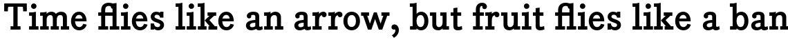 Bodoni Egyptian Pro Bold