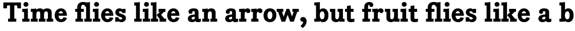 Bodoni Egyptian Pro Extra Bold