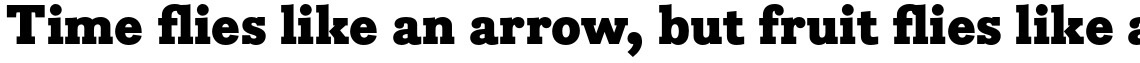 Bodoni Egyptian Pro Black