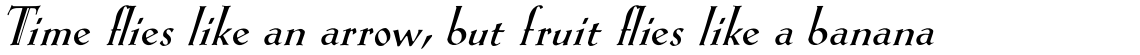 Eva Antiqua Heavy Italic