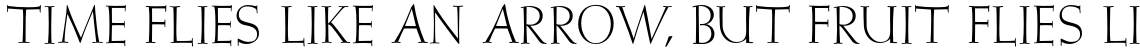 Wellsbrook Initials SG Light OT STD