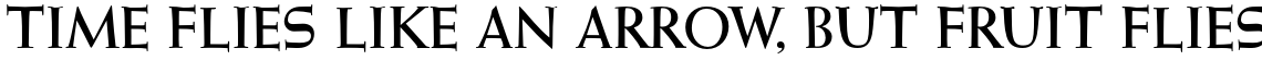 Wellsbrook Initials SG Heavy OT STD